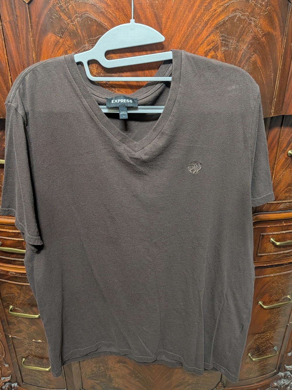Express Men's Short Sleeve V-Neck T-Shirt in Dark Brown